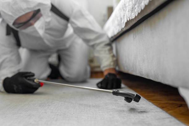 Professional Pest Control technician working in Wayne, WV